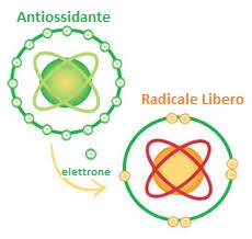 radicale libero antiossidante